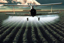 3 декабря – Международный день борьбы против пестицидов