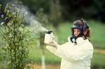 3 декабря – Международный день борьбы против пестицидов